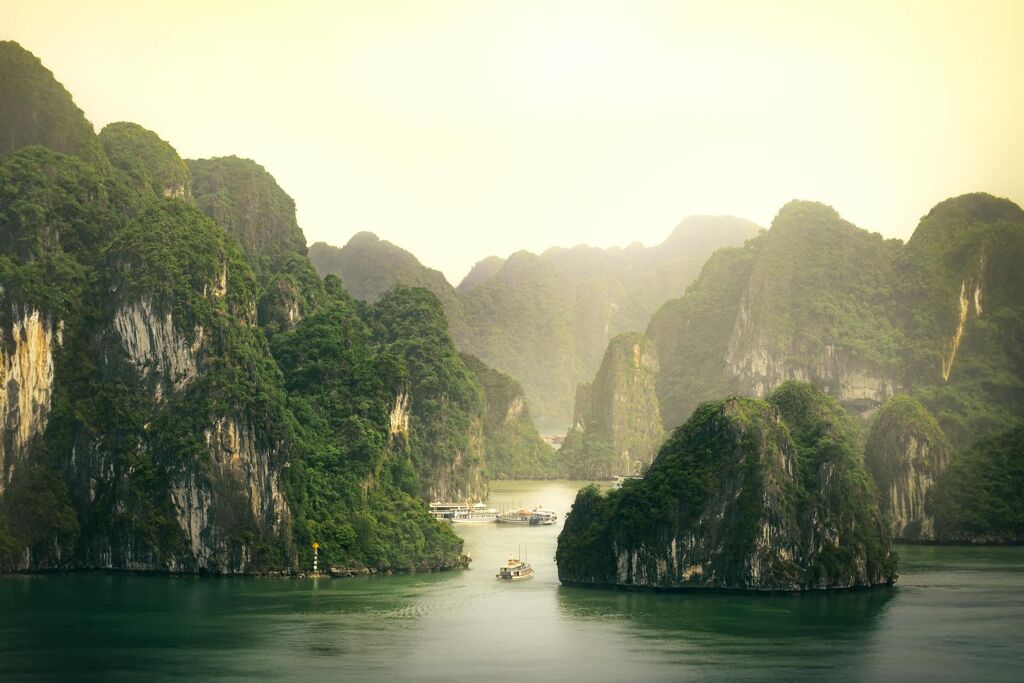image-48
